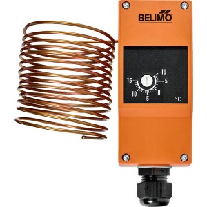 Belimo - Duct Sensors (Air), Cable temperature sensor passive, Pt100, Probe length 50 mm, Probe diameter 6 mm, Cable 2 m, 2-wire