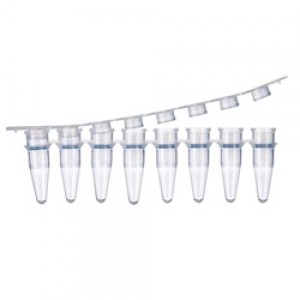 PCR 0.2ml 8-STRIP TUBE CAPS, BioPointe Scientific
