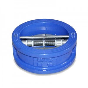 Dual Plate Check Valve, Stainless Steel