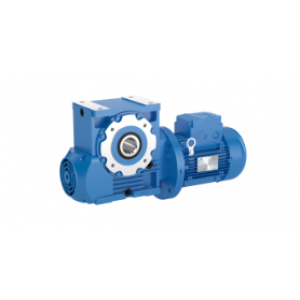 Rossi - Worm gear reducers and gearmotors, A Series